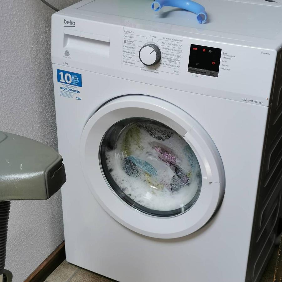 Urlaub Auf Dem Bauernhof Lägenhet Netphen Exteriör bild