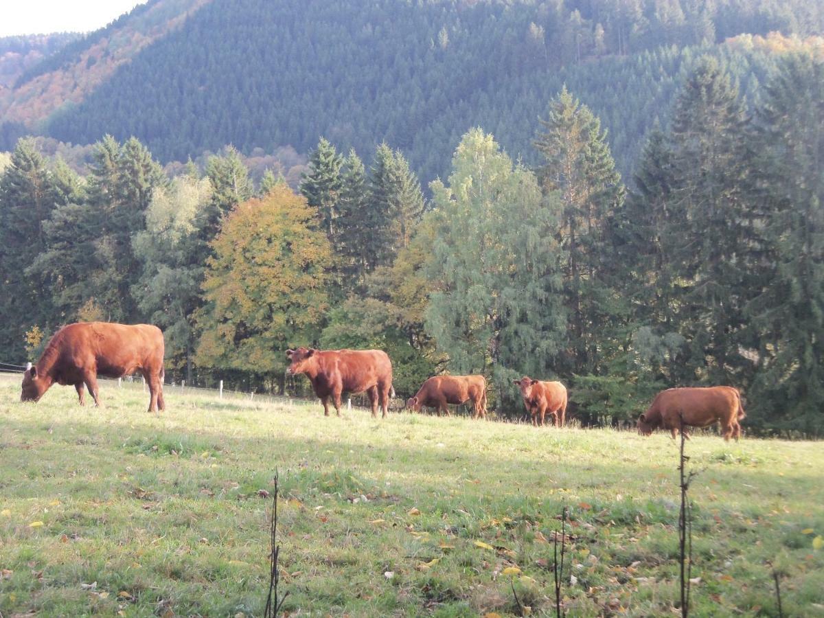 Urlaub Auf Dem Bauernhof Lägenhet Netphen Exteriör bild